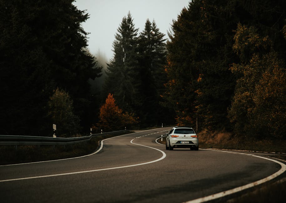 A silver car navigates a winding road through a misty autumn forest, evoking a sense of adventure and travel.