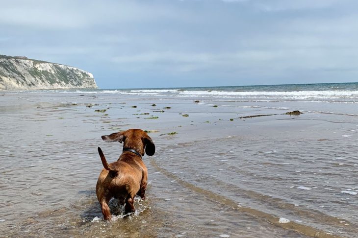 Weekend on the Isle of Wight aka Frankie’s first Holiday