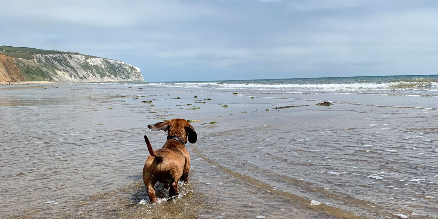 Weekend on the Isle of Wight aka Frankie’s first Holiday