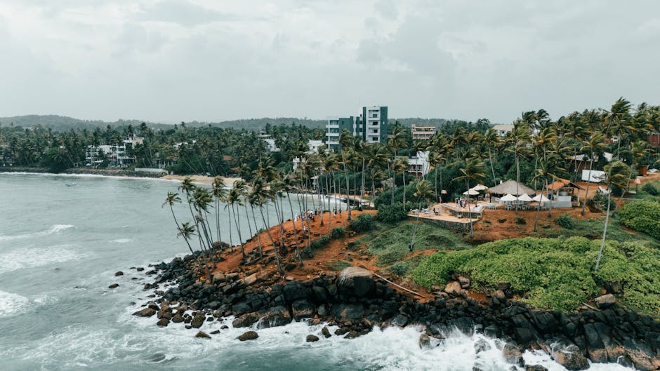 Stunning aerial shot of Sri Lanka's lush coastline with swaying palm trees and rocky shores.