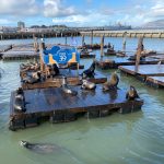 A Week in San Francisco – what to see, do + eat in San Francisco Part 1