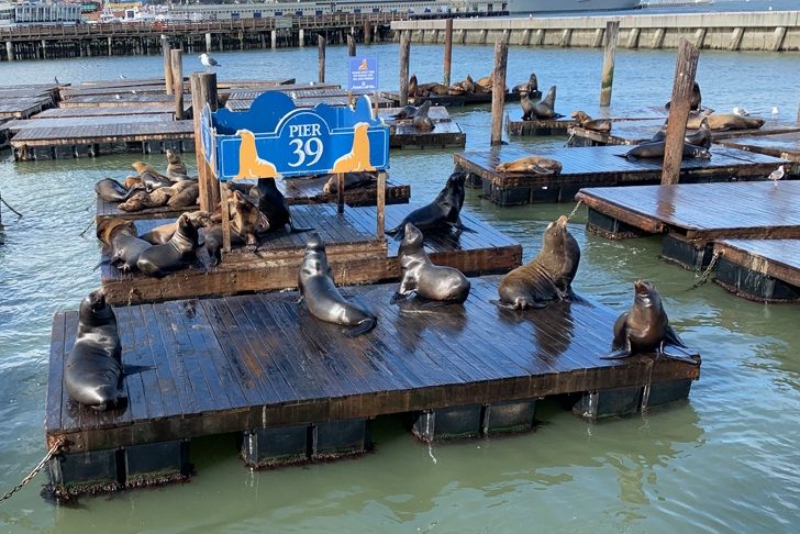 A Week in San Francisco – what to see, do + eat in San Francisco Part 1