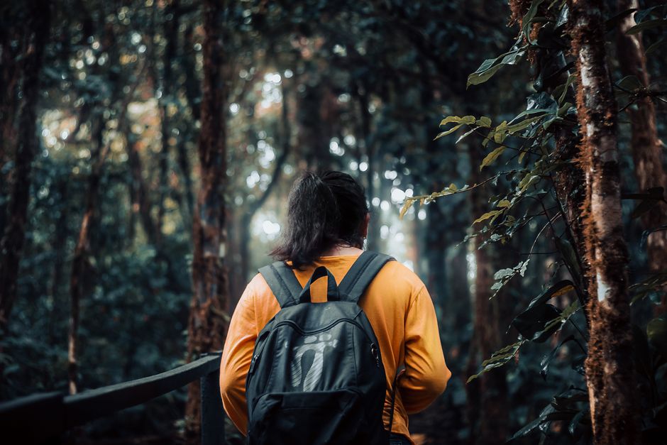 An individual walks through a dense, atmospheric forest, showcasing adventure and solitude.