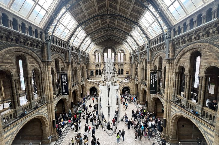Visiting London with kids
