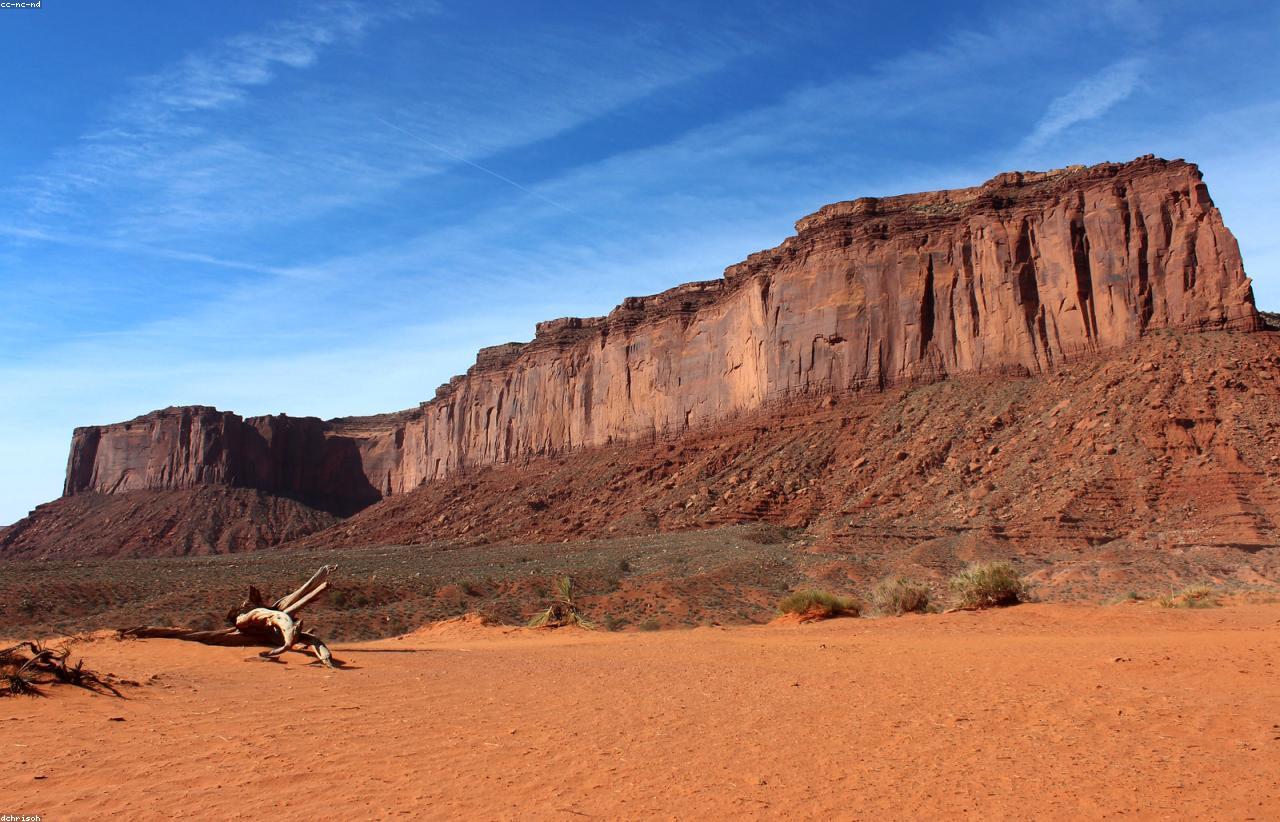 Wufoty 100FT Heated Water Hose vs 160FT Pipe Cable: Which RV Freeze Protection Wins in 2026?
