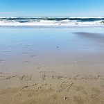 Our Trip to San Francisco – Part Two